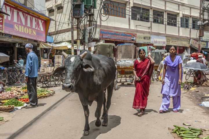 52 - India - Varanasi